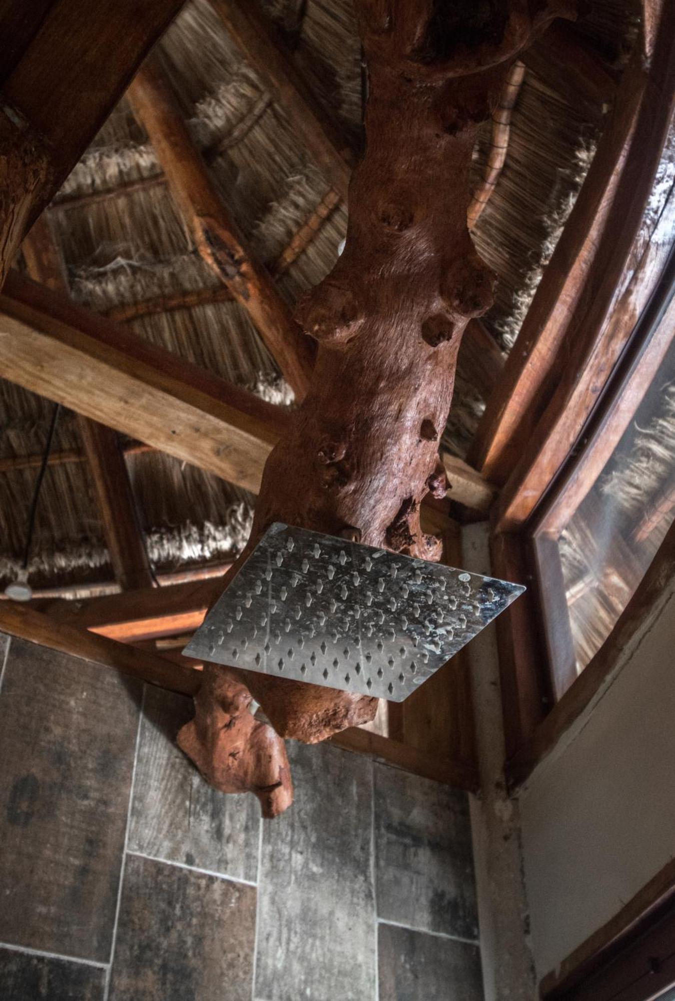 Pepem Holistic Experience - Peaceful Retreat Near Tulum (Adults Only)ヴィラ エクステリア 写真