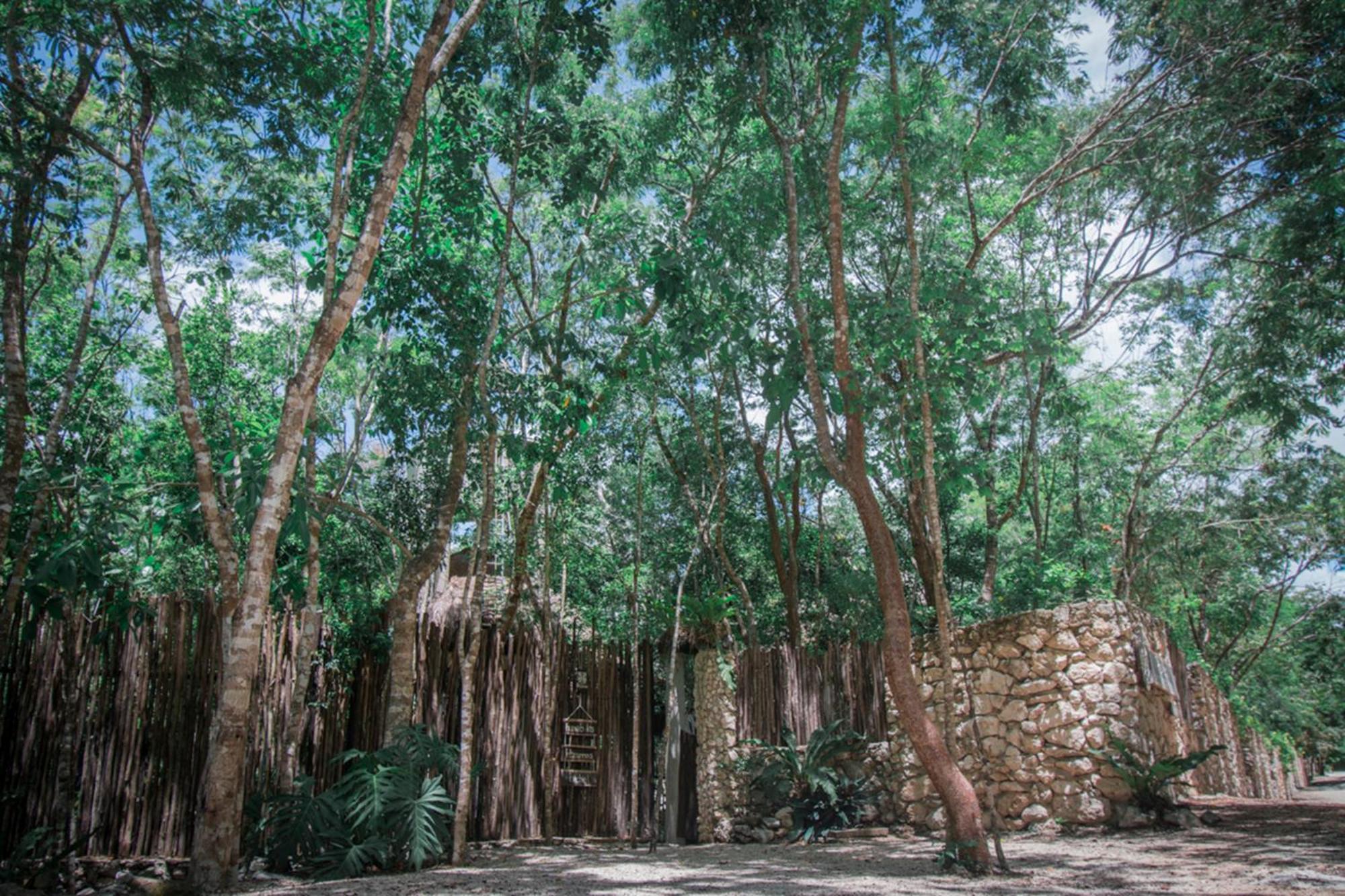 Pepem Holistic Experience - Peaceful Retreat Near Tulum (Adults Only)ヴィラ エクステリア 写真