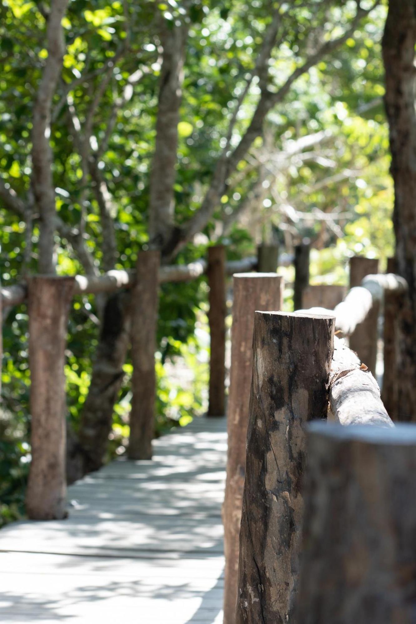 Pepem Holistic Experience - Peaceful Retreat Near Tulum (Adults Only)ヴィラ エクステリア 写真